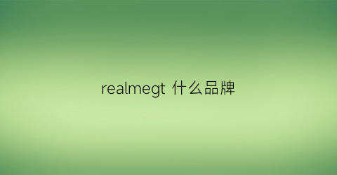 realmegt 什么品牌